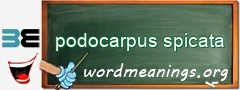 WordMeaning blackboard for podocarpus spicata